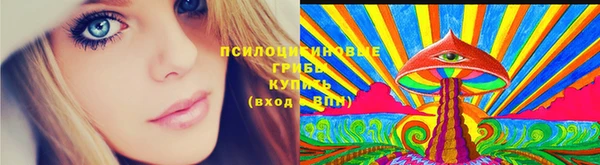 винт Абаза