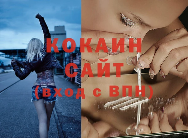 винт Абаза