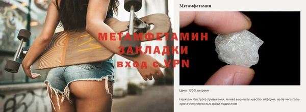 индика Каменка