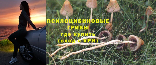 винт Абаза