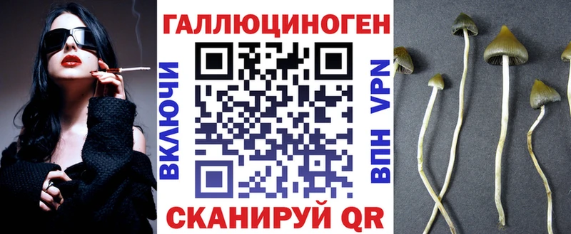 купить наркоту  Ильский  Псилоцибиновые грибы Psilocybe 